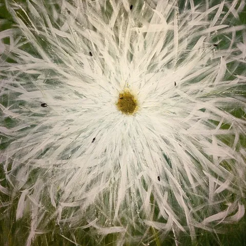 Pusteblume